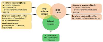 Corticosteroids in childhood epilepsies: A systematic review